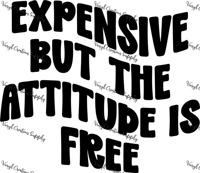 Attitude in Black - Vinyl Creation Supply