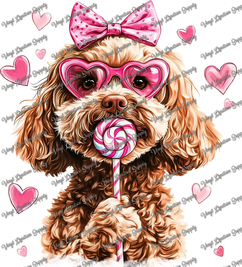 Goldendoodle Lollipop