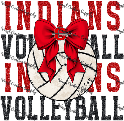 Indians Volleyball 1 - Vinyl Creation Supply