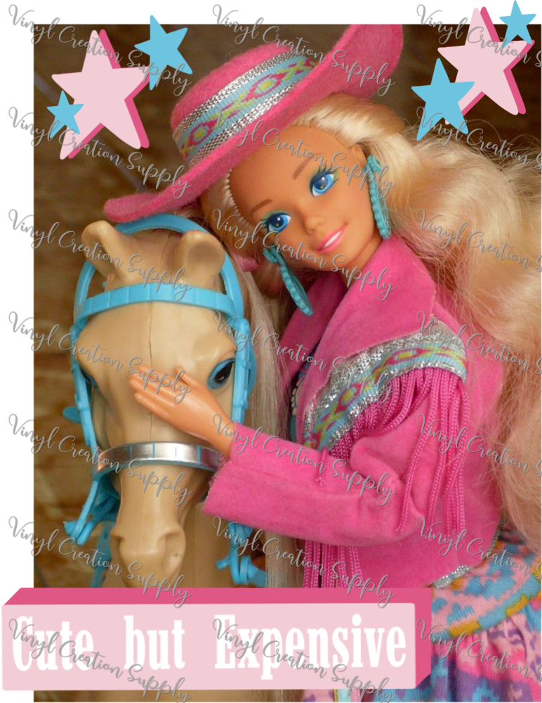 Cute But Expensive Barbie