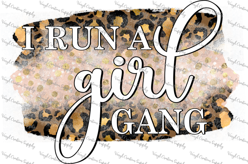 I Run A Girl Gang