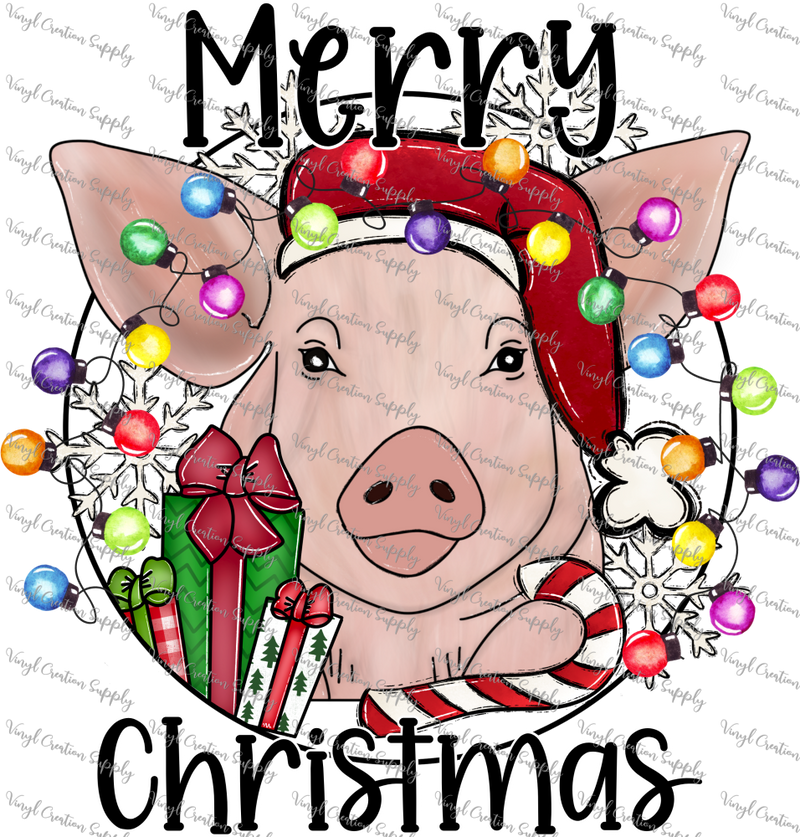Pig Merry Christmas