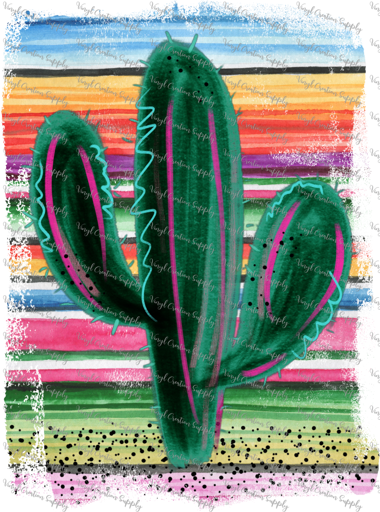 Serape Cactus