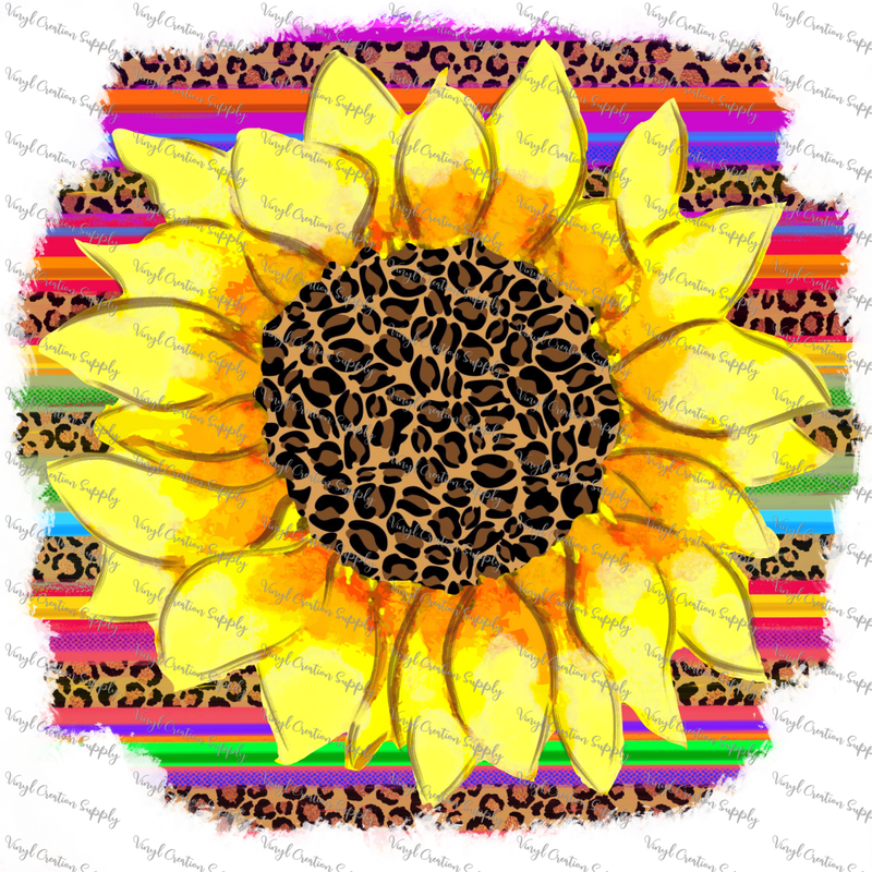 Serape Sunflower