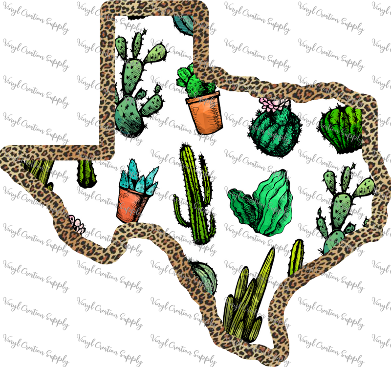 Texas Cactus 2